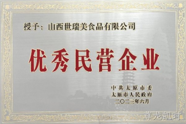民营企业