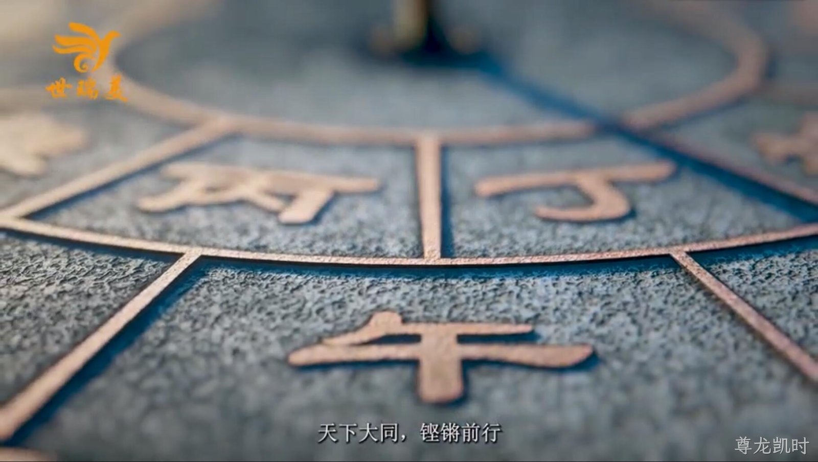 视频标题